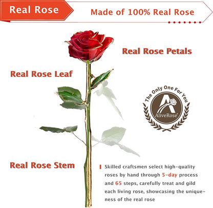 Gold Rose,24K Gold Real Rose Gift for Her, Long Stem Rose Made from Real Gold Rose for Anniversary Valentines Mothers Day Birthday (Teal Blue with Crystal Vase)